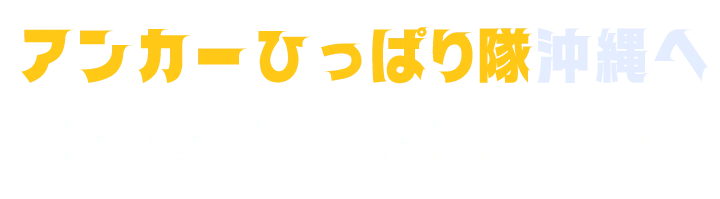 アンカーひっぱり隊沖縄へお気軽にご相談ください